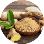 Untitled design (26)