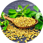 Untitled design (28)