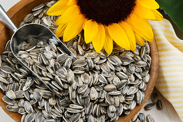 sunflower seeds benifits